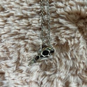 Silver Skull Pendant Necklace